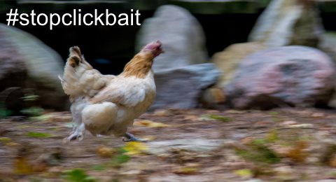 clickbait-terremoto (26K)